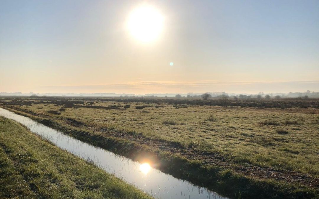 Café GB: Droge voeten, natte sloten